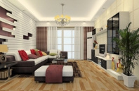 ӰҾD20504