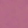 XGA紫荆花
