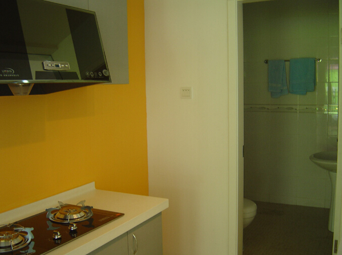 如何选择厨房卫生间的瓷砖