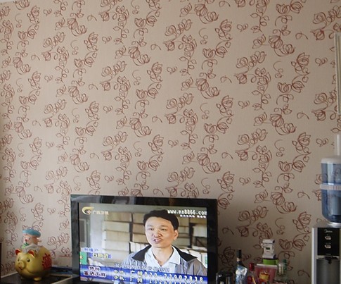 桑巴蒂墙纸怎么样?