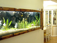 家人财运不顺，才发现是这4样东西在作怪！