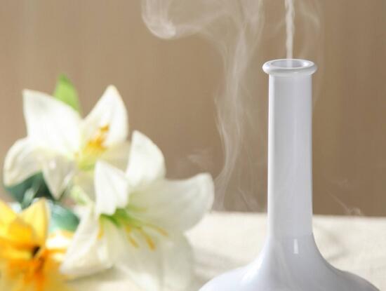 人手必备加湿器?负离子加湿器原理