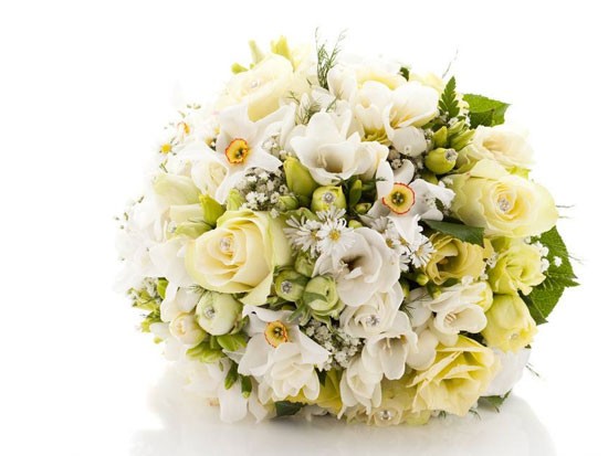 ÐÂÄïÊÖÅõ»¨µÄÔ¢ÒâÓÐÄÄÐ©