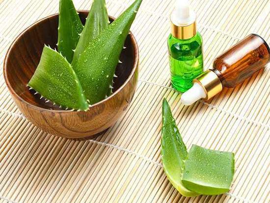 芦荟醋作用与功效 芦荟醋作用与功效