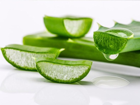 芦荟功效与作用及禁忌
