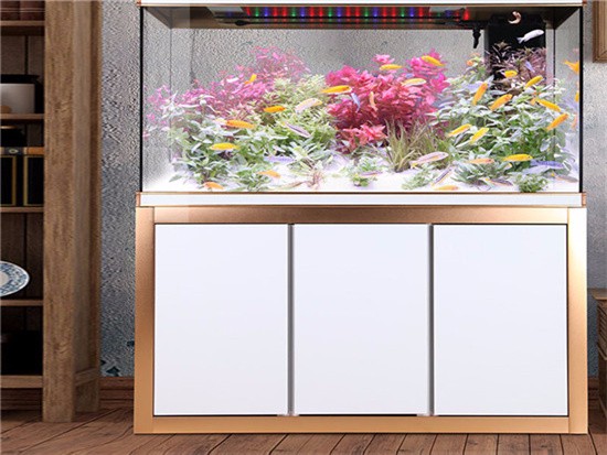 小鱼缸价格一般是多少