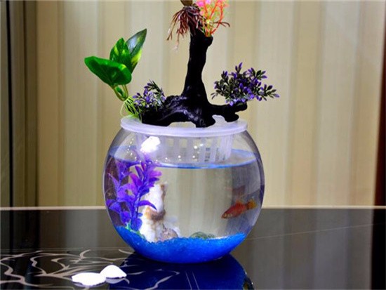 全封闭鱼缸 全封闭鱼缸