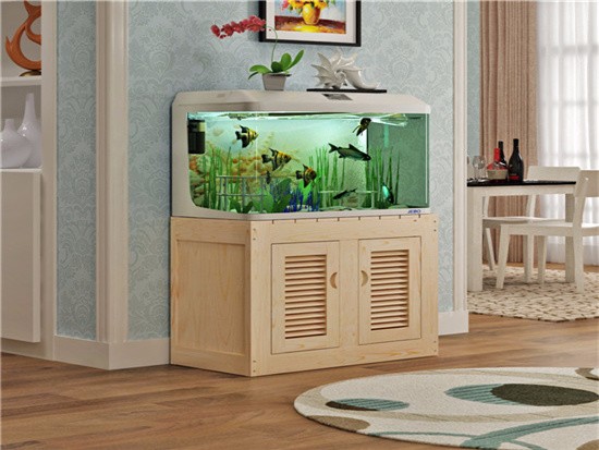 养金龙鱼缸低用什么颜色