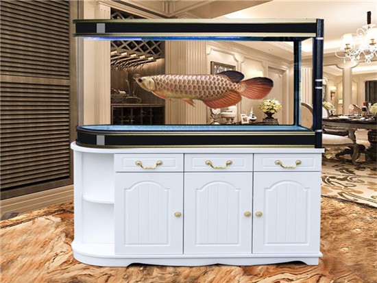 家用鱼缸柜多大合适 家用鱼缸柜多大合适