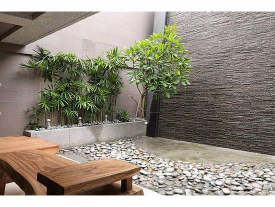 万年青一般放在哪个房间为好 万年青一般放在哪个房间为好