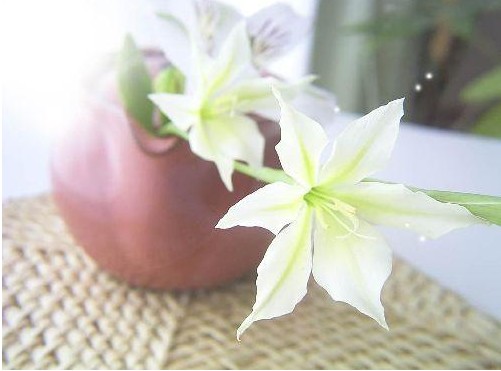 家居花卉装饰