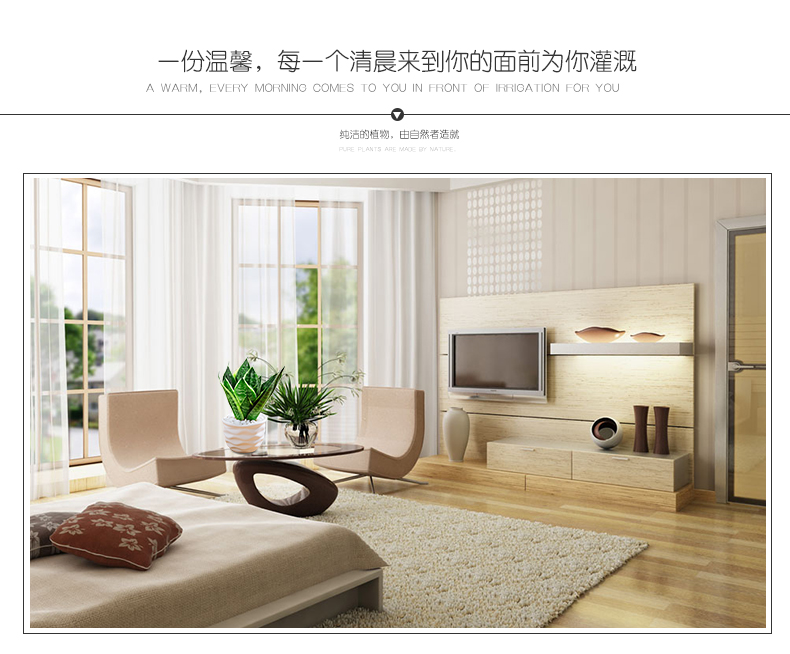 金边虎尾兰的作用 金边虎尾兰的作用