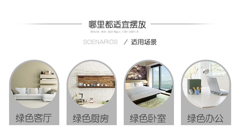 虎尾兰图片大全大图 虎尾兰图片大全大图