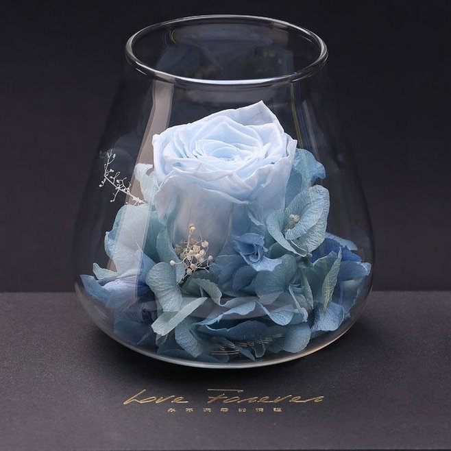 厄瓜多尔玫瑰 厄瓜多尔玫瑰