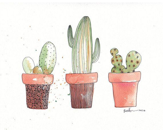 仙人指的养殖方法