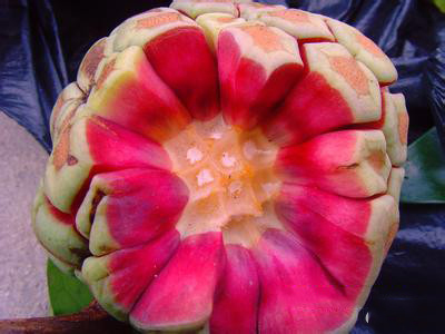 布福娜的功效与作用 布福娜的功效与作用