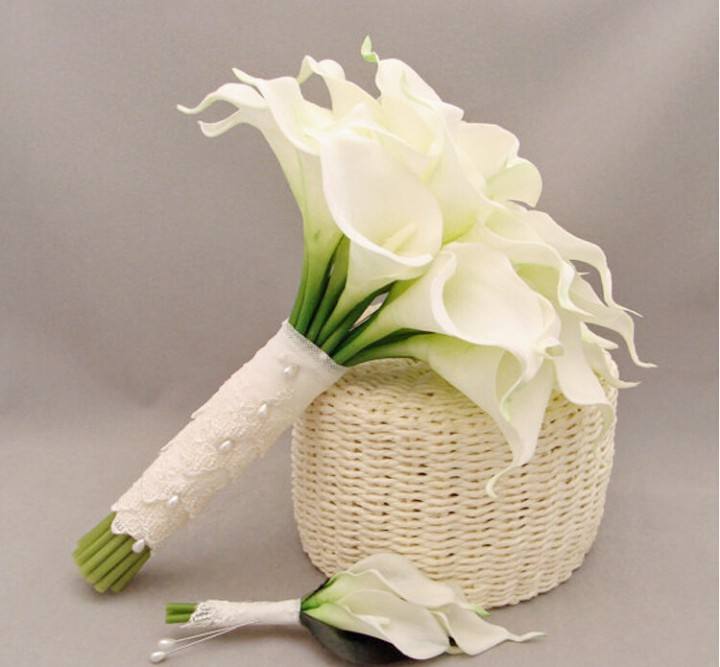 马蹄莲的养殖方法