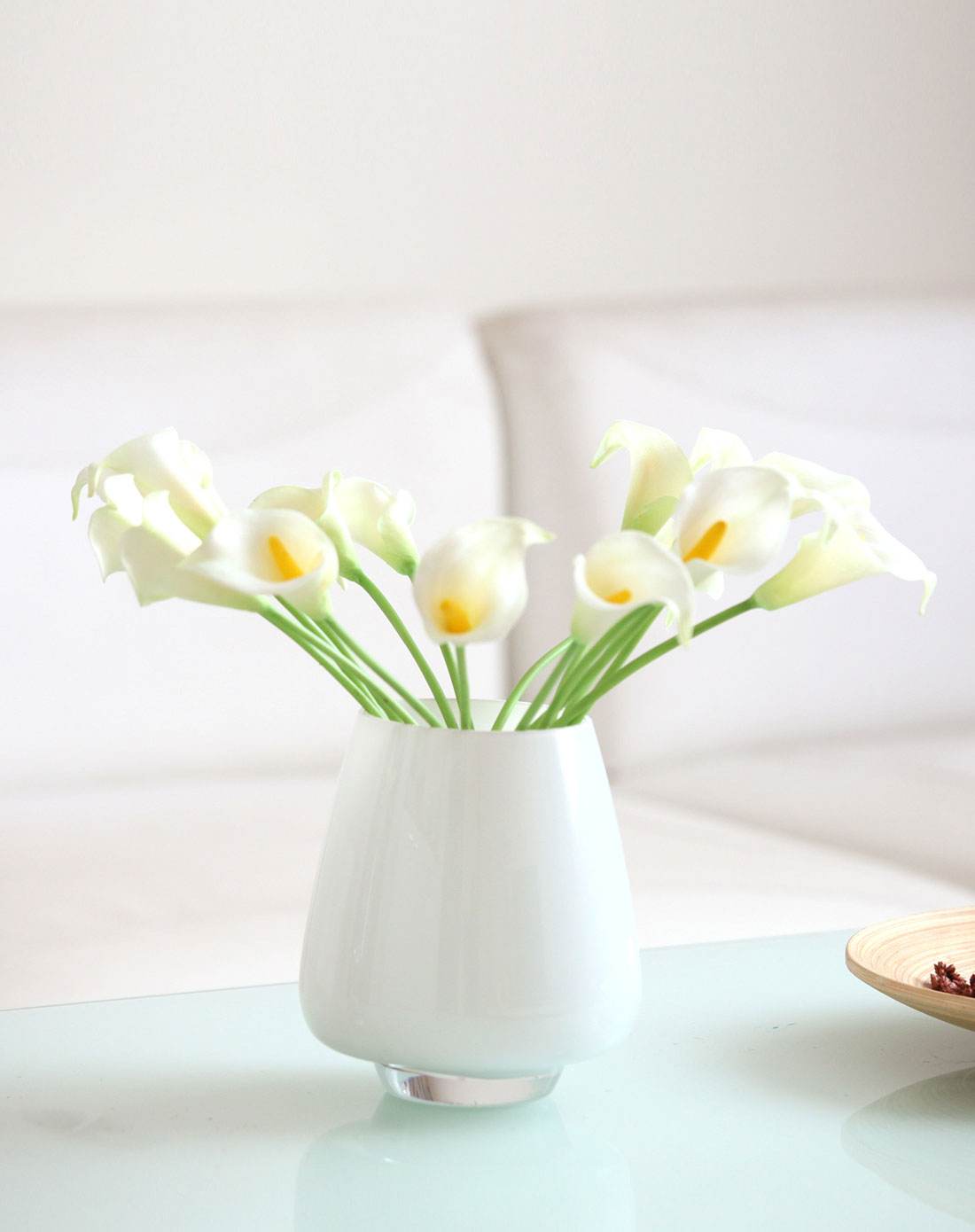 马蹄莲的养殖方法