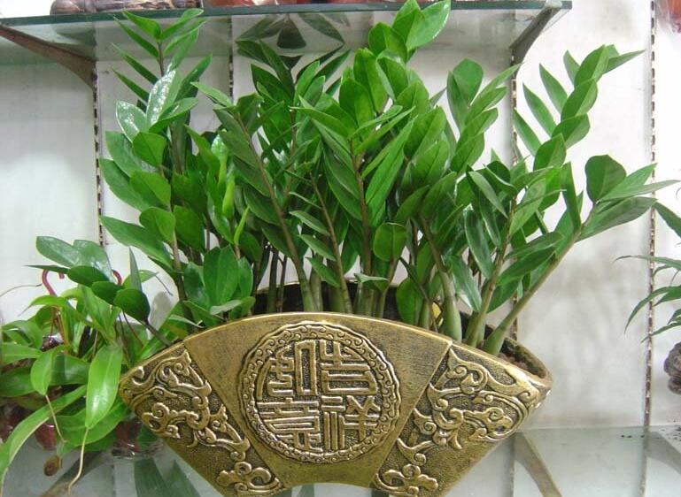 Ǯ弰