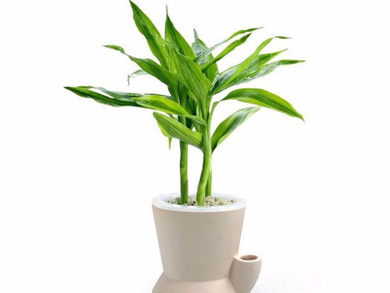 ʲô