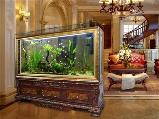 鱼缸上方适合挂钟表吗