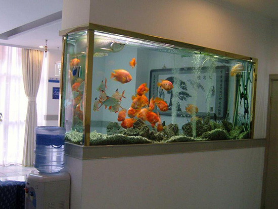 怎么装饰鱼缸 bj149924233374.jpg